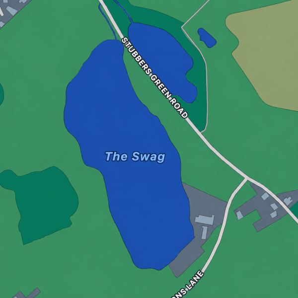THE SWAG