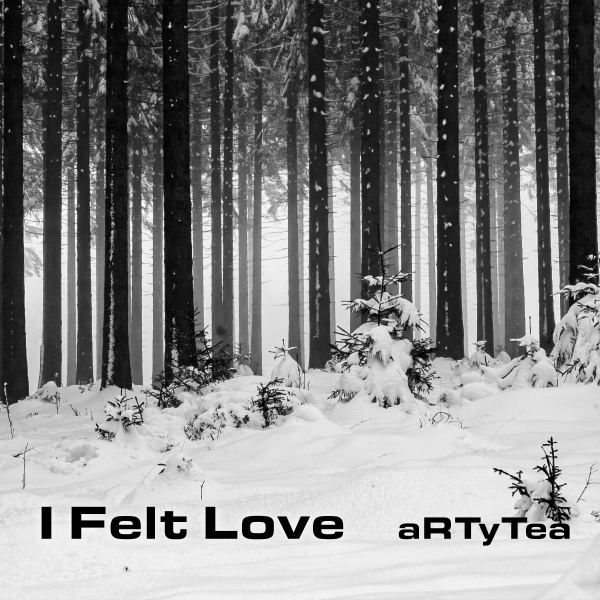 I Felt Love