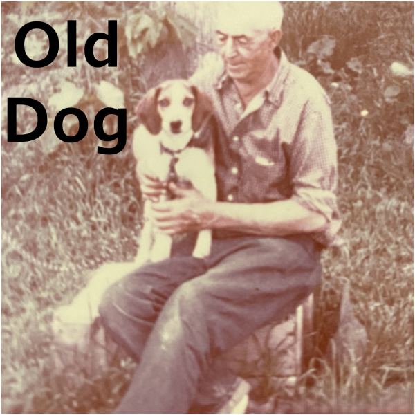 Old Dog