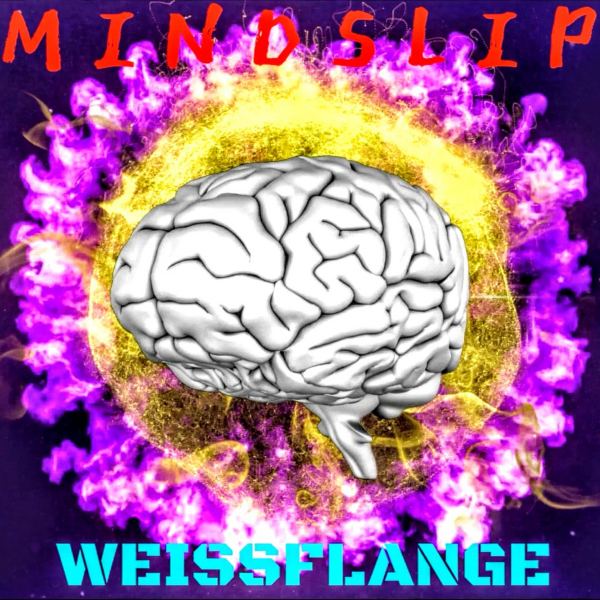 Mindslip