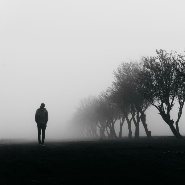 El bosque