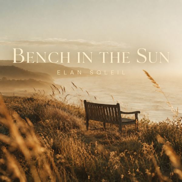 Bench In The Sun
