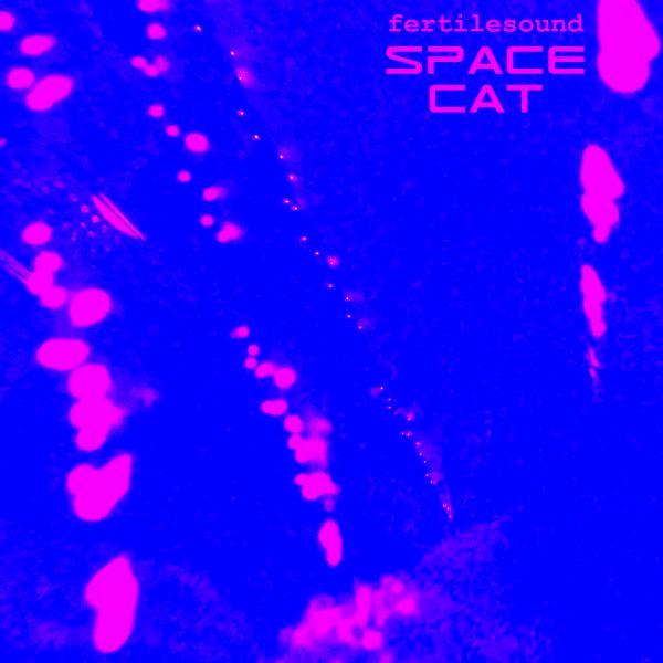 Space Cat