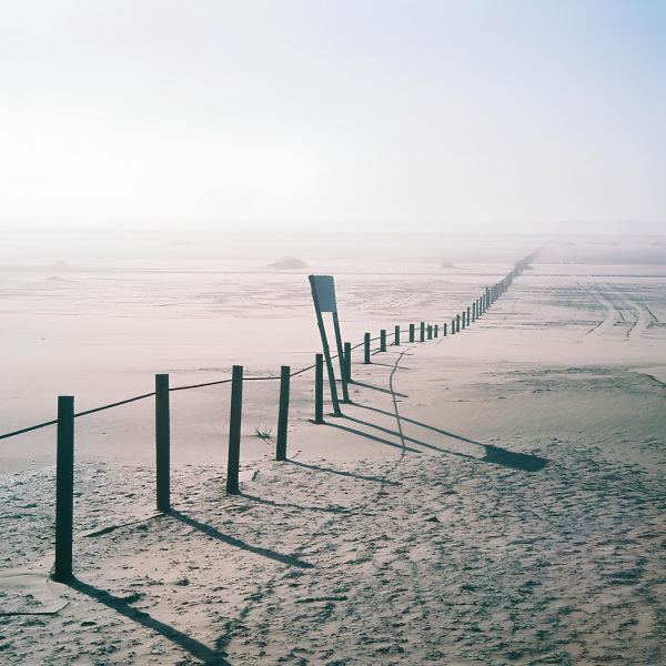 Ashes By Dawn