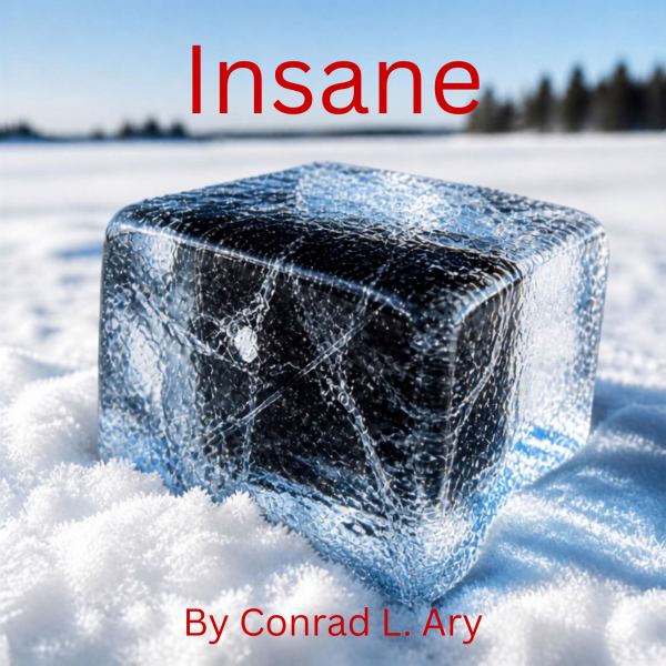 Insane - Remix Version 3