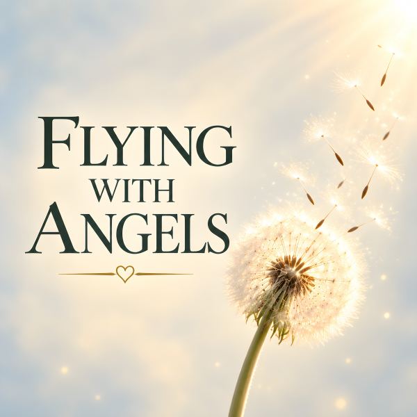 Flying With Angels