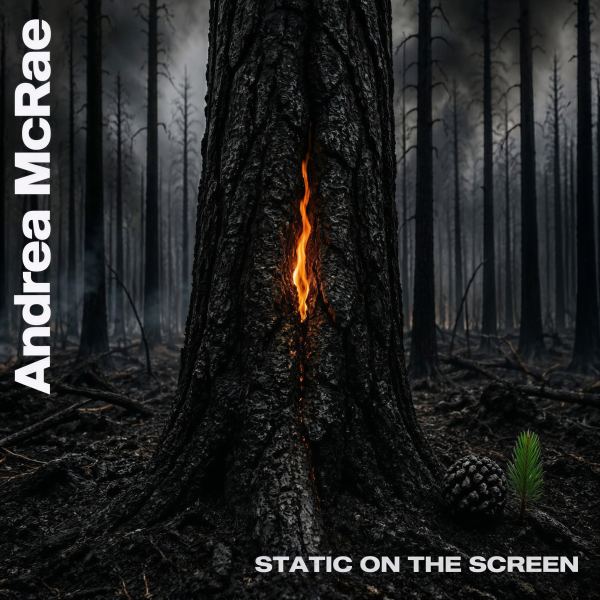 Static on the Screen