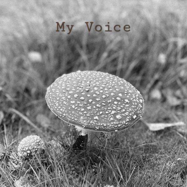 My Voice