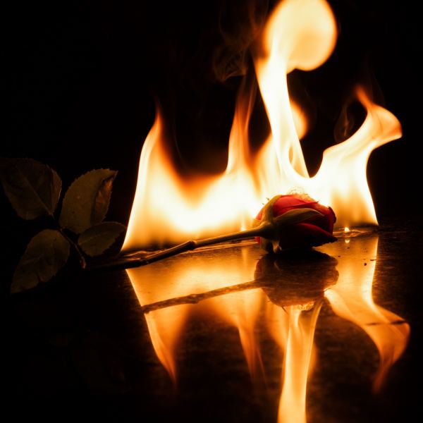 Burn It Down