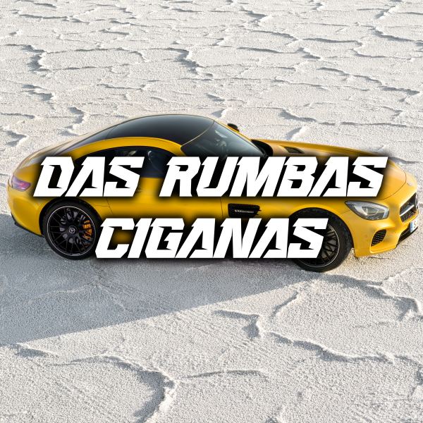 cigana 20k26 absalon