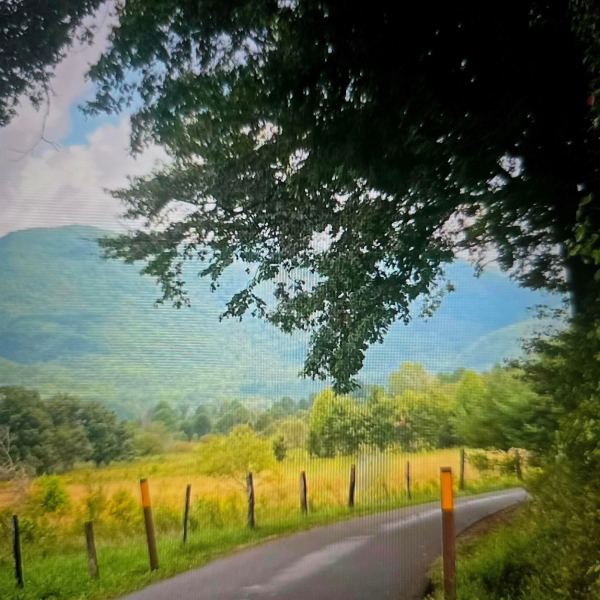 Wrong road wrong turn