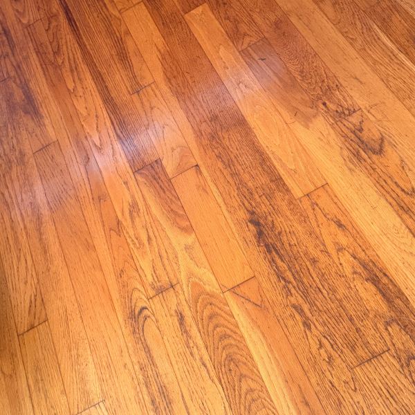 Every Crack In This Floor