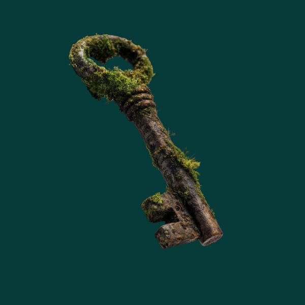 moss heart