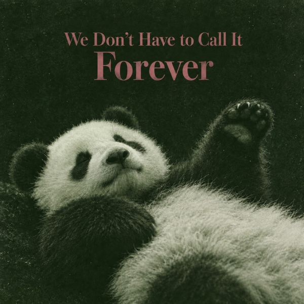 We don't have to call it forever