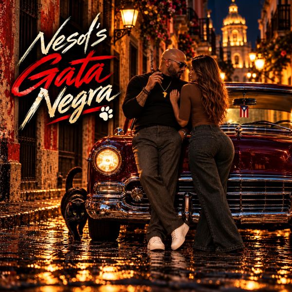 Gata Negra