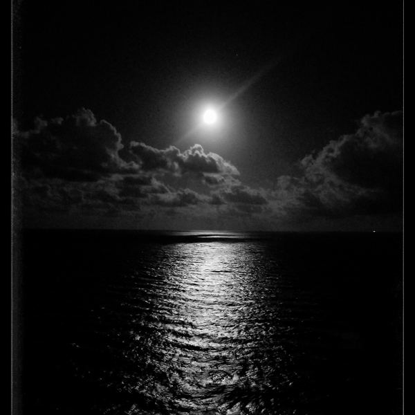 In The Dark
