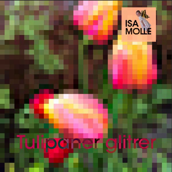Tulipaner glitrer