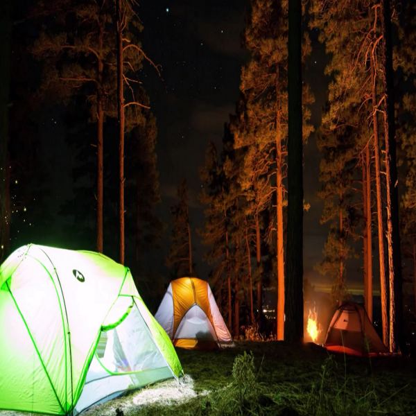 Crickets' Campfire
