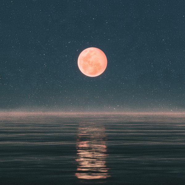 星影
