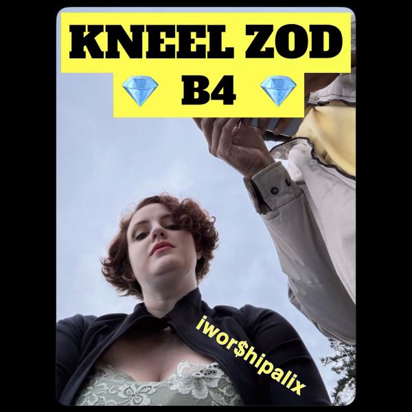 Kneel B4 Zod