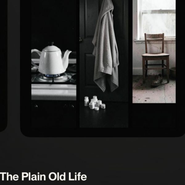The Plain Old Life