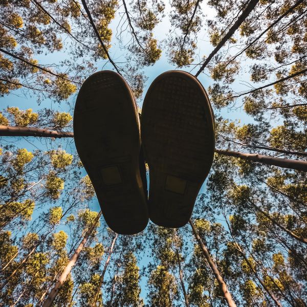 Future Perspectives