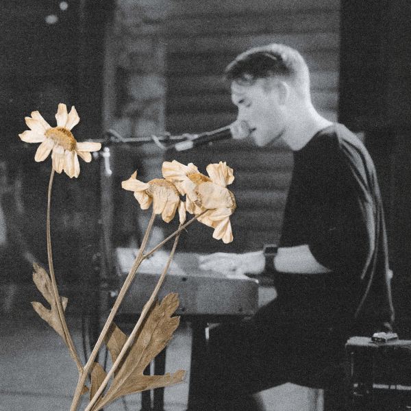 Wildfire - Acoustic