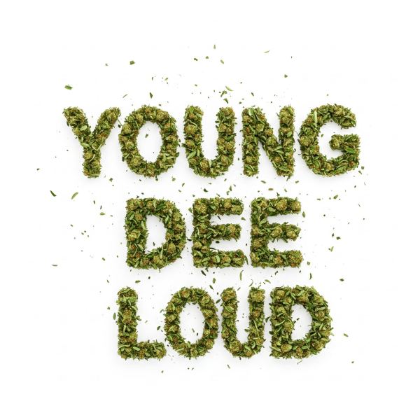Loud
