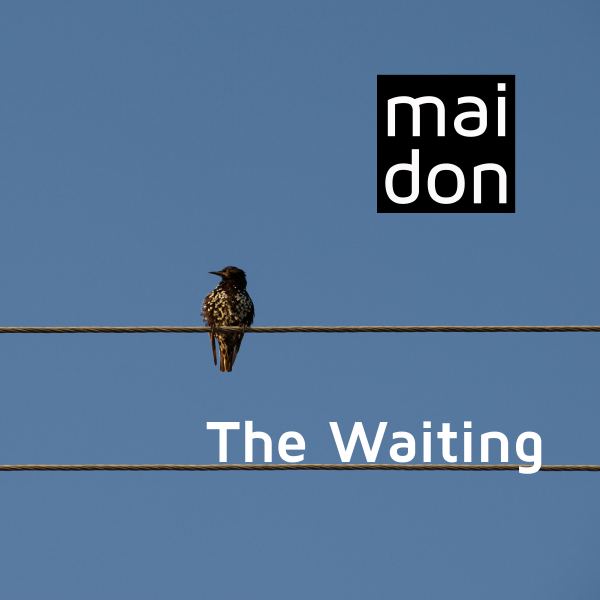 The Waiting