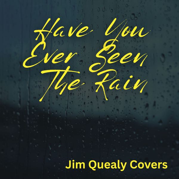Have You Ever Seen The Rain