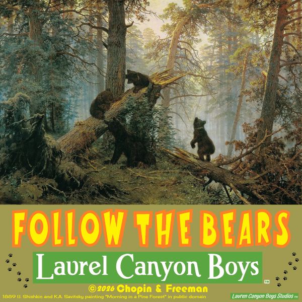 Follow the Bears