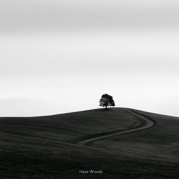 Weald