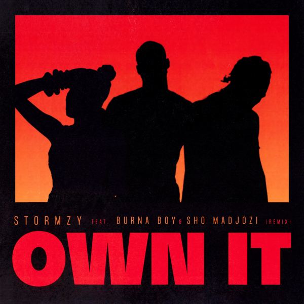 Own It (feat. Burna Boy & Sho Madjozi) [Remix]